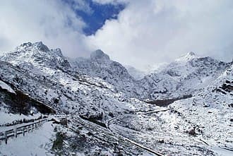 CÃo Da Serra Da Estrela