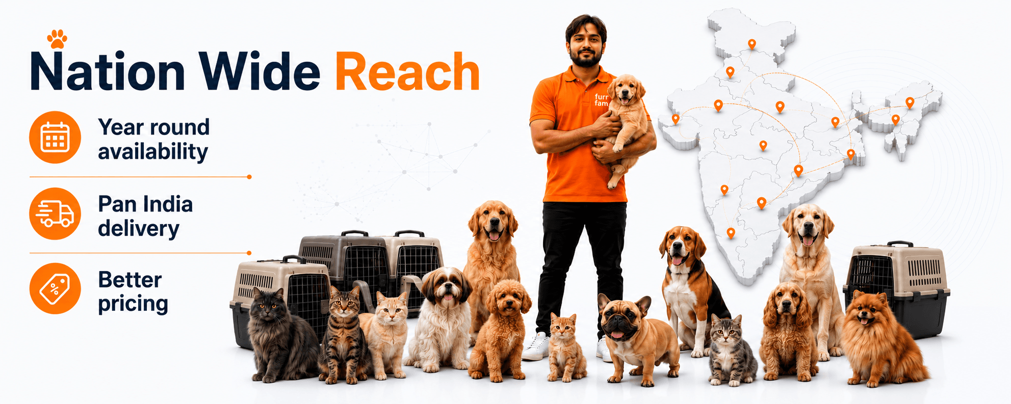 Pets enjoying Furrfam grooming and care